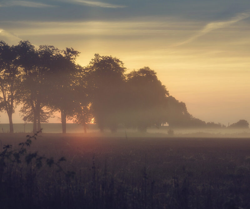 Misty countryside landscape at sunrise, calm vanlife setting for campervan travel inspiration