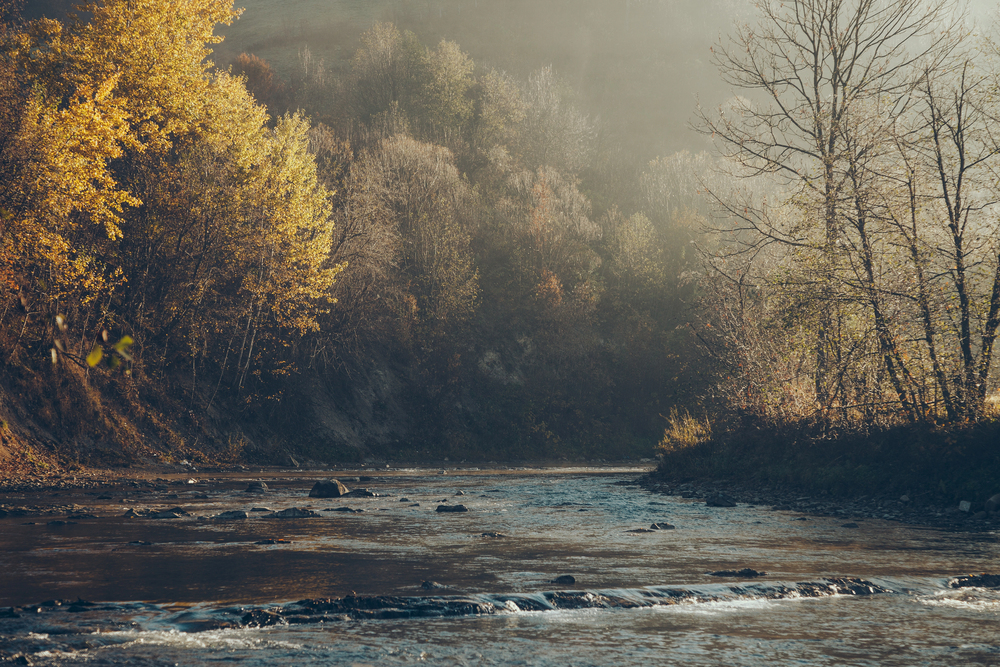 Misty autumn river in rural UK landscape, symbolising off-grid campervan travel and remote connectivity